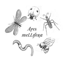 Load image into Gallery viewer, Apis Mellifera Perfume Oil