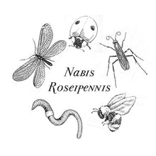 Load image into Gallery viewer, Nabis Roseipennis Perfume Oil
